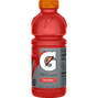 Gatorade Fruit Punch single